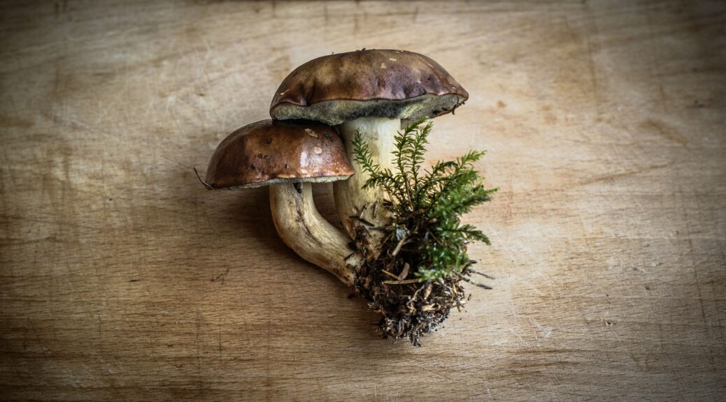 Immune-boosting mushroom supplements