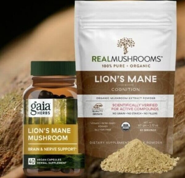 What are the benefits of taking Lion's mane supplements regularly?